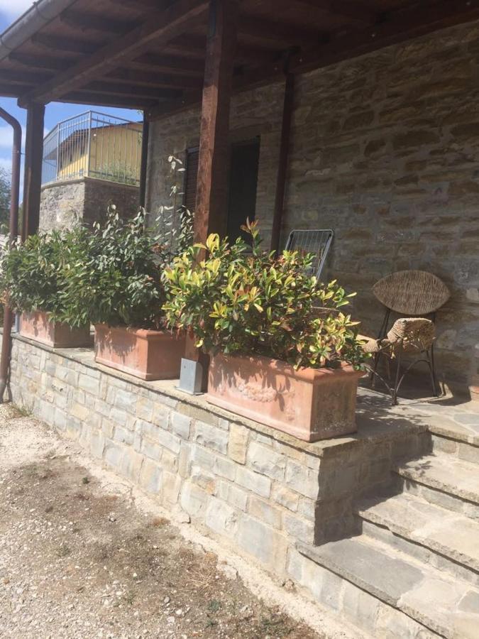 Agriturismo Cailuca Pietralunga  Dış mekan fotoğraf